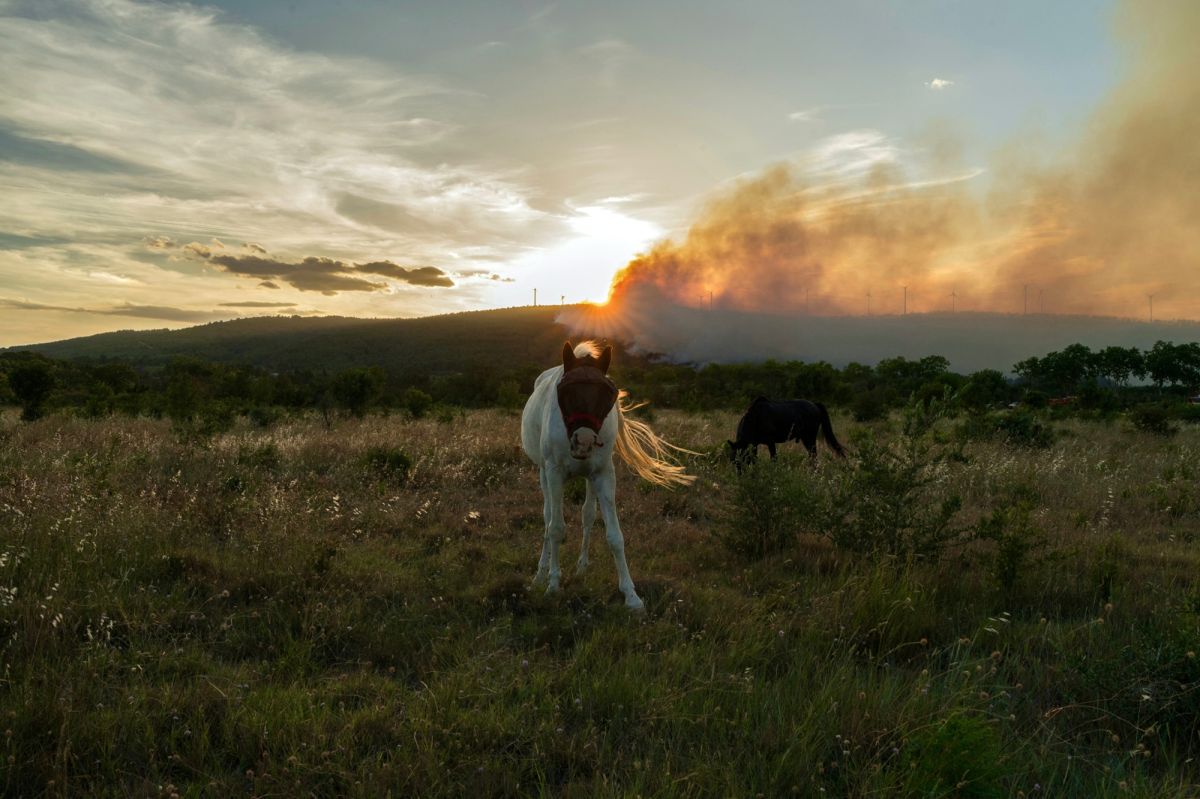 Incendies en série : le sud de la France en état d'alerte