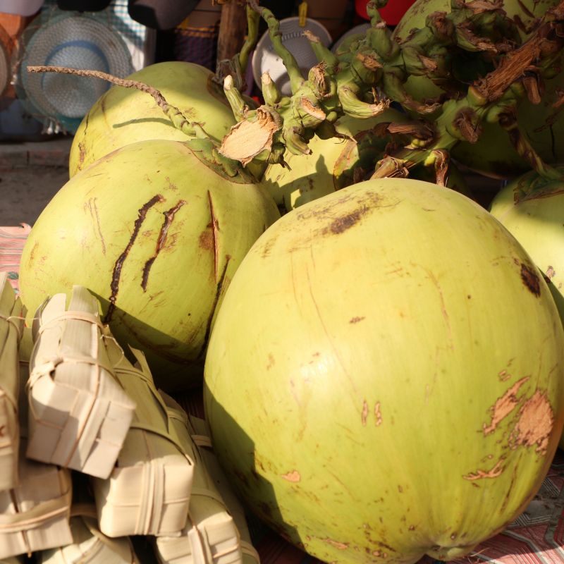 L'eau de coco, la boisson tendance pour une hydratation efficace