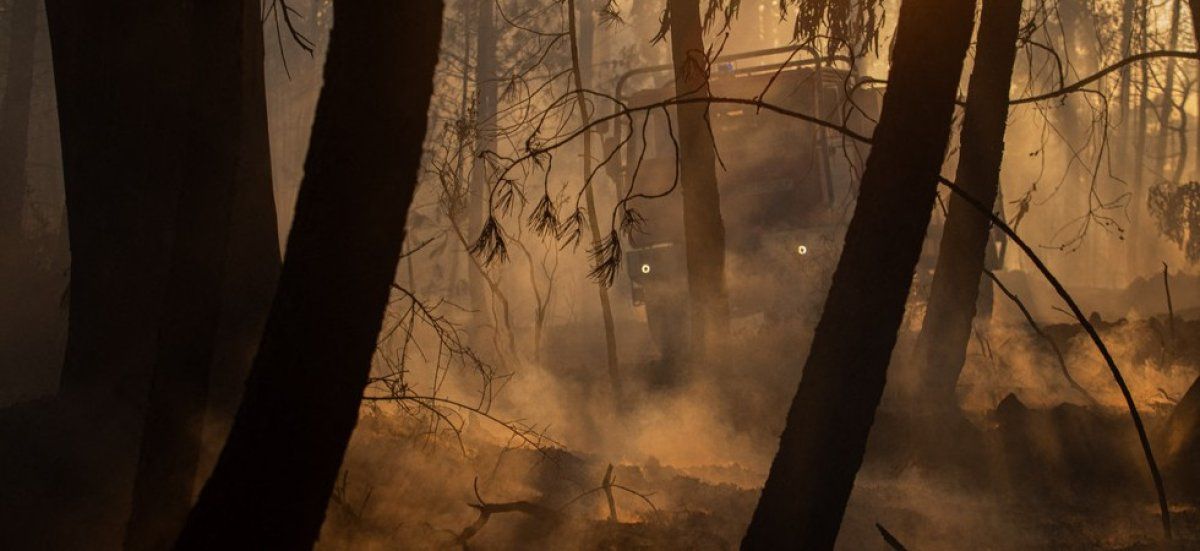 Incendies : alerte rouge sur les feux de forêt dans le sud