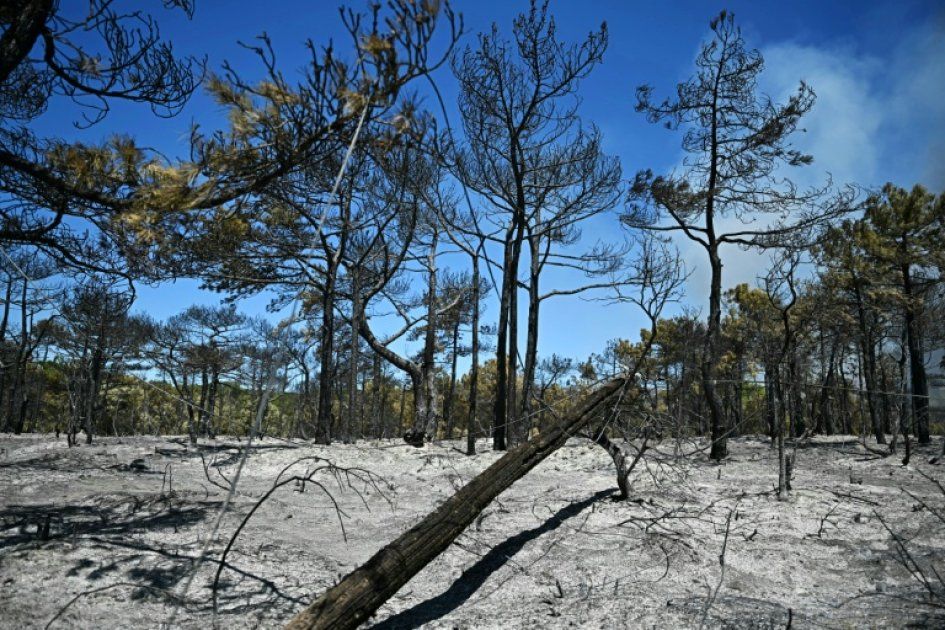 Un homme en garde à vue après neuf départs de feu dans l'Hérault