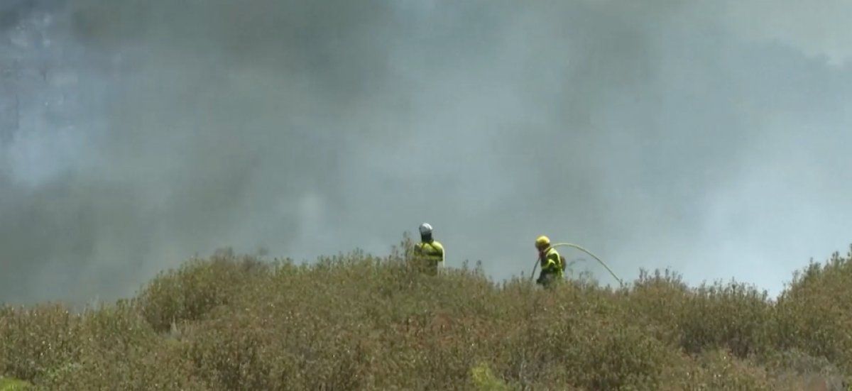 Incendies dévastateurs dans le Sud : plus de 4 600 hectares en flammes