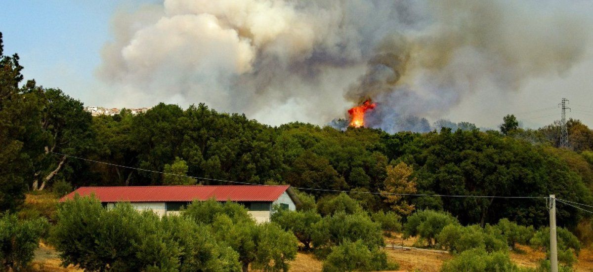 Des incendies dévastateurs frappent le sud de la France : six suspects arrêtés