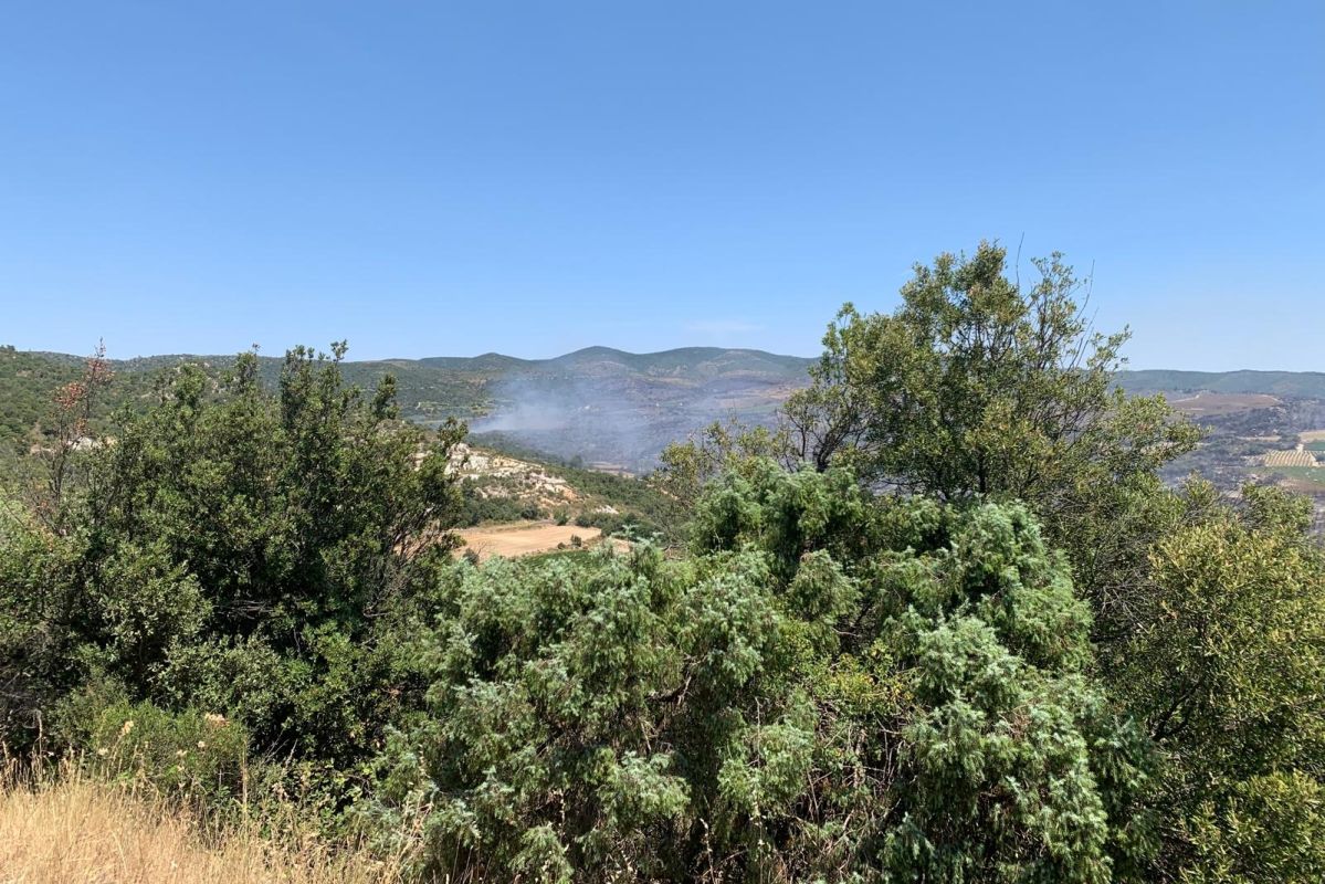l'angoisse d'un nouveau départ face aux incendies dans les Pyrénées-Orientales