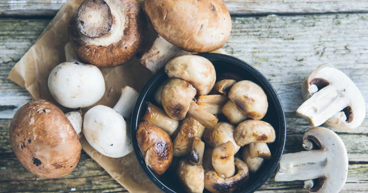 Bourguignon de champignons : une alternative savoureuse et économique