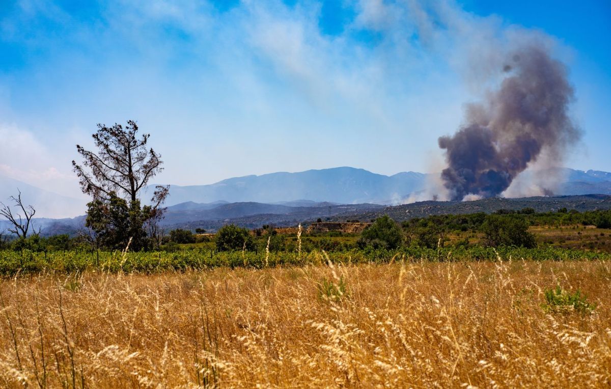 Pyrénées-Orientales : arrestation de deux suspects pour incendies criminels