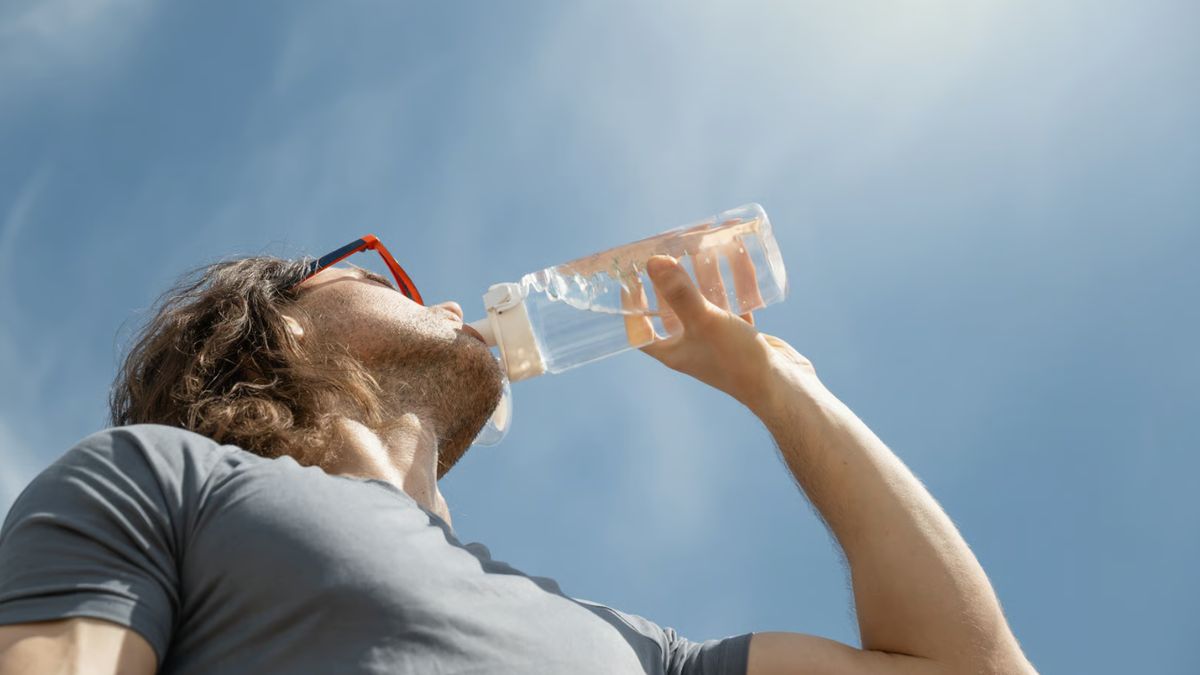 canicule et incendies : la France sous pression, un bilan alarmant