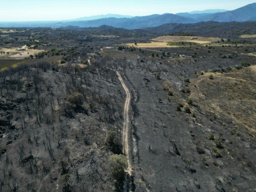Des arrestations massives liées aux incendies : 32 personnes sous les verrous
