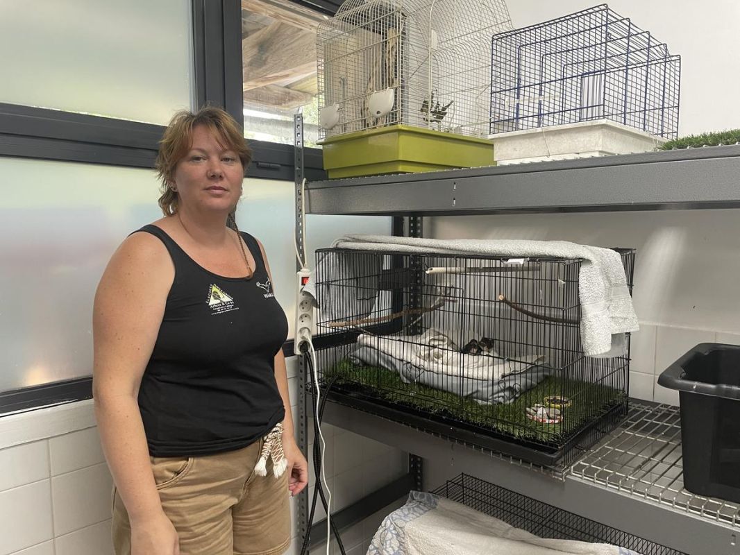 Hegalaldia prépare un agrandissement pour mieux soigner les animaux en 2027