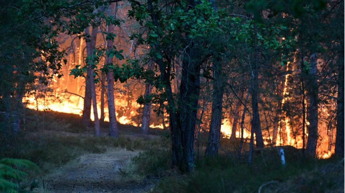 Fontainebleau en flammes : une bataille des pompiers contre un incendie hors norme