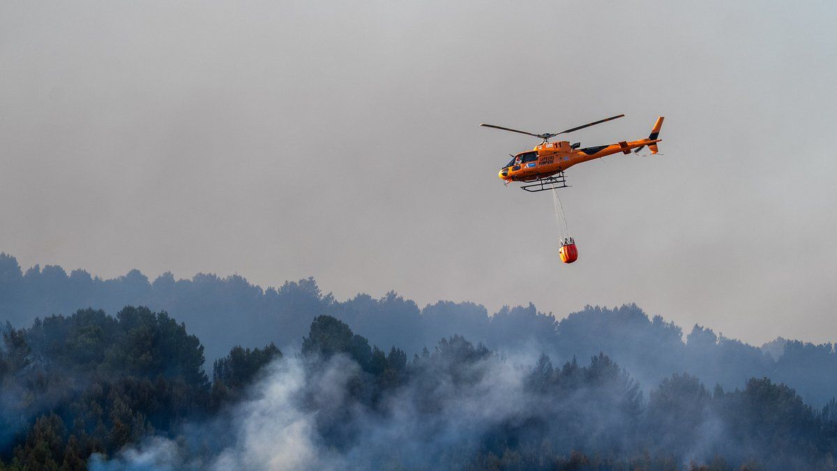 Un incendie sur l'A9 rappelle la vigilance face aux mégots