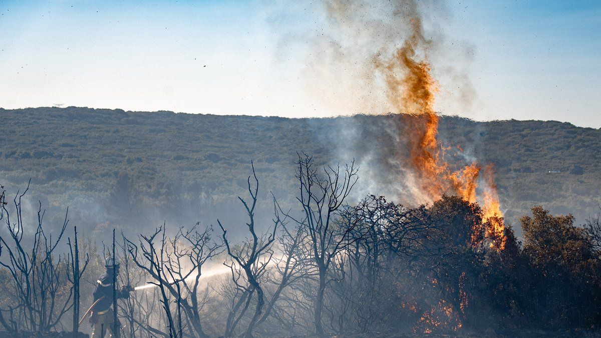 Canicule et incendies : un été tragique pour la France
