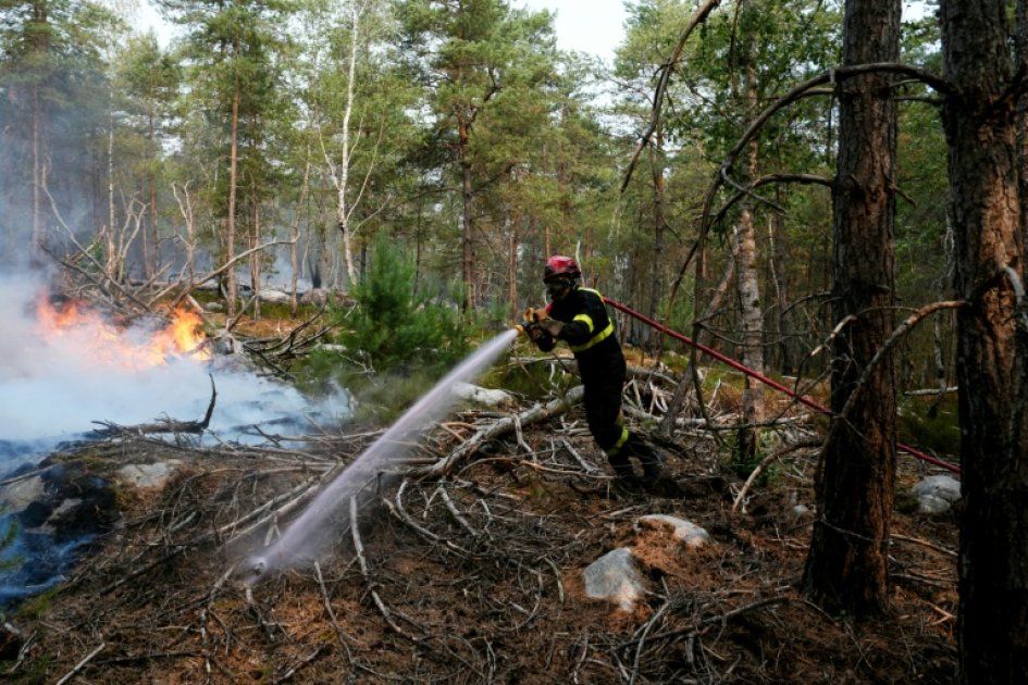 Fontainebleau : les pompiers en première ligne alors qu'Emmanuel Macron s'engage sur le terrain